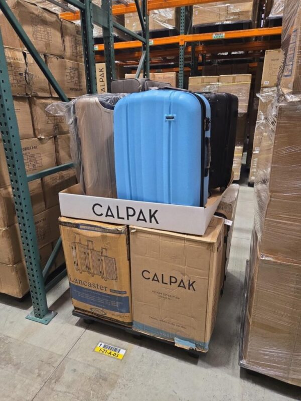 PHOTO-2025-02-04-17-00-342-900x1200-1-768x1024